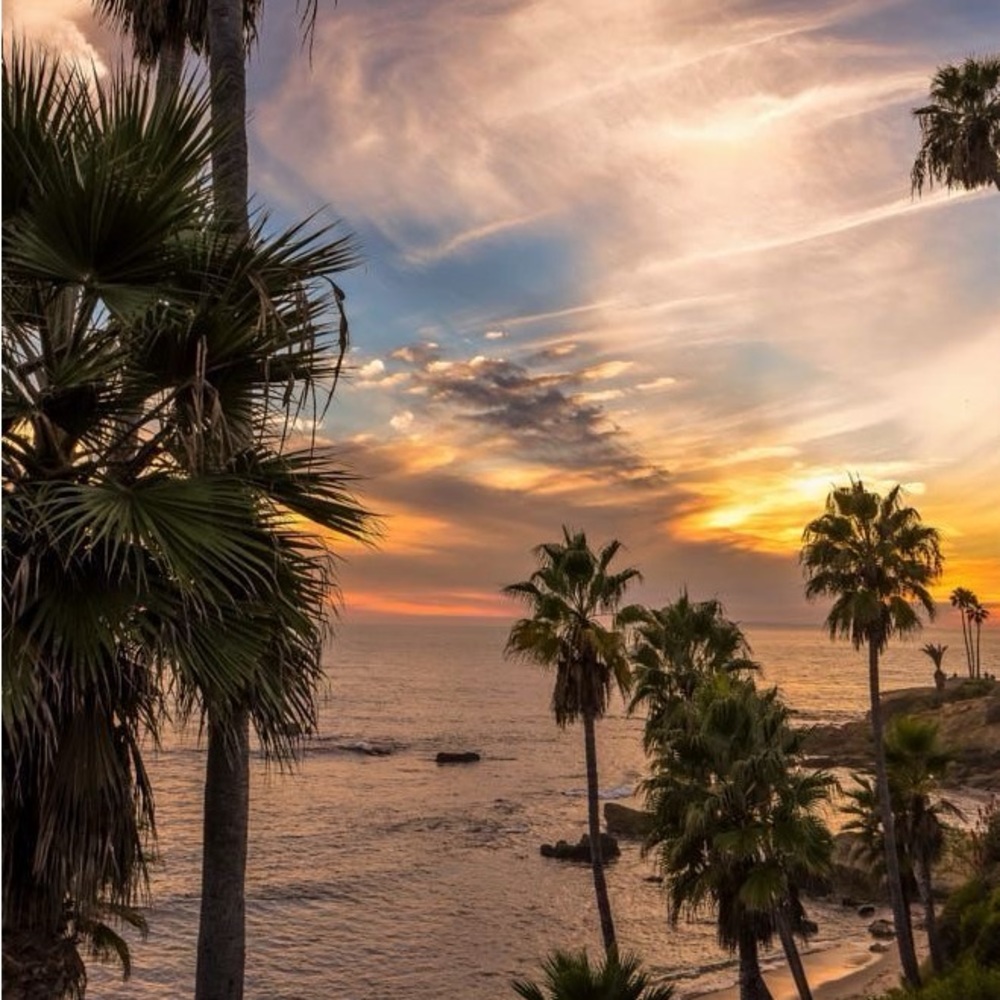 Meet your Posher, Rima